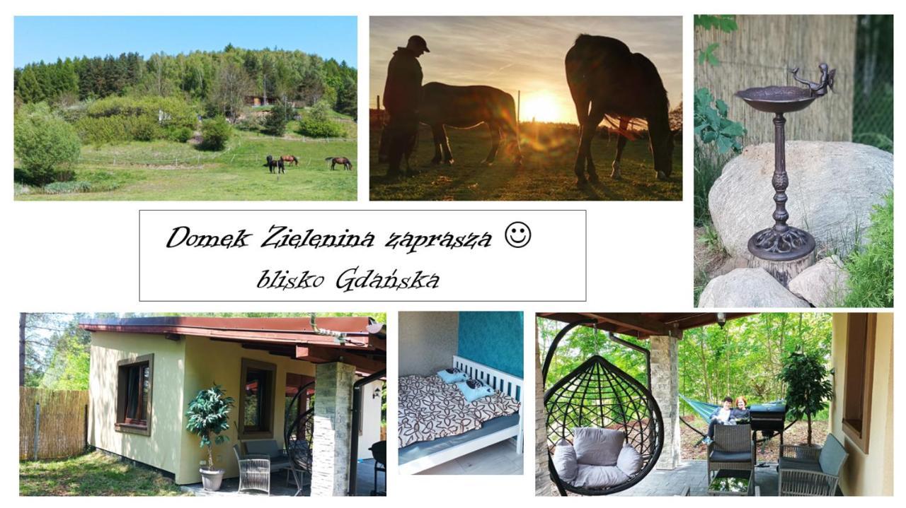 Domek Zielenina Mierzeszyn Exterior photo